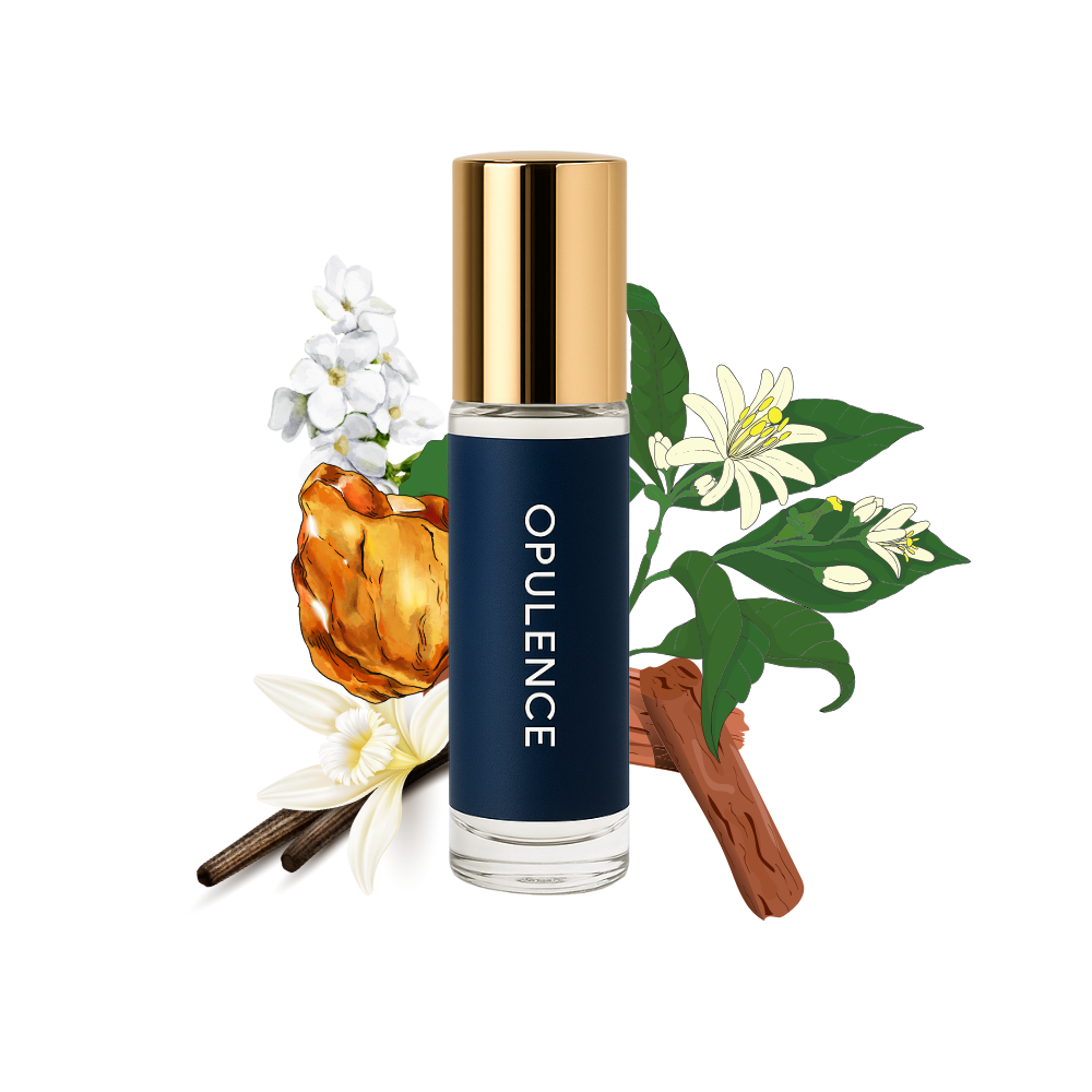 Scent Curry Premium Attar – Opulence | Sweet Amber & Vanilla, Long-Lasting Perfume Oil (6ml)